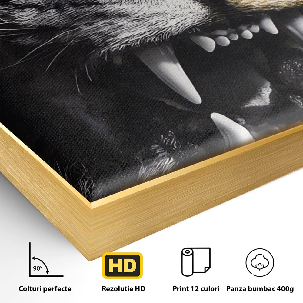 Detaliu al suprafetei: tablou canvas cu leu fioros, in rama de aluminiu auriu